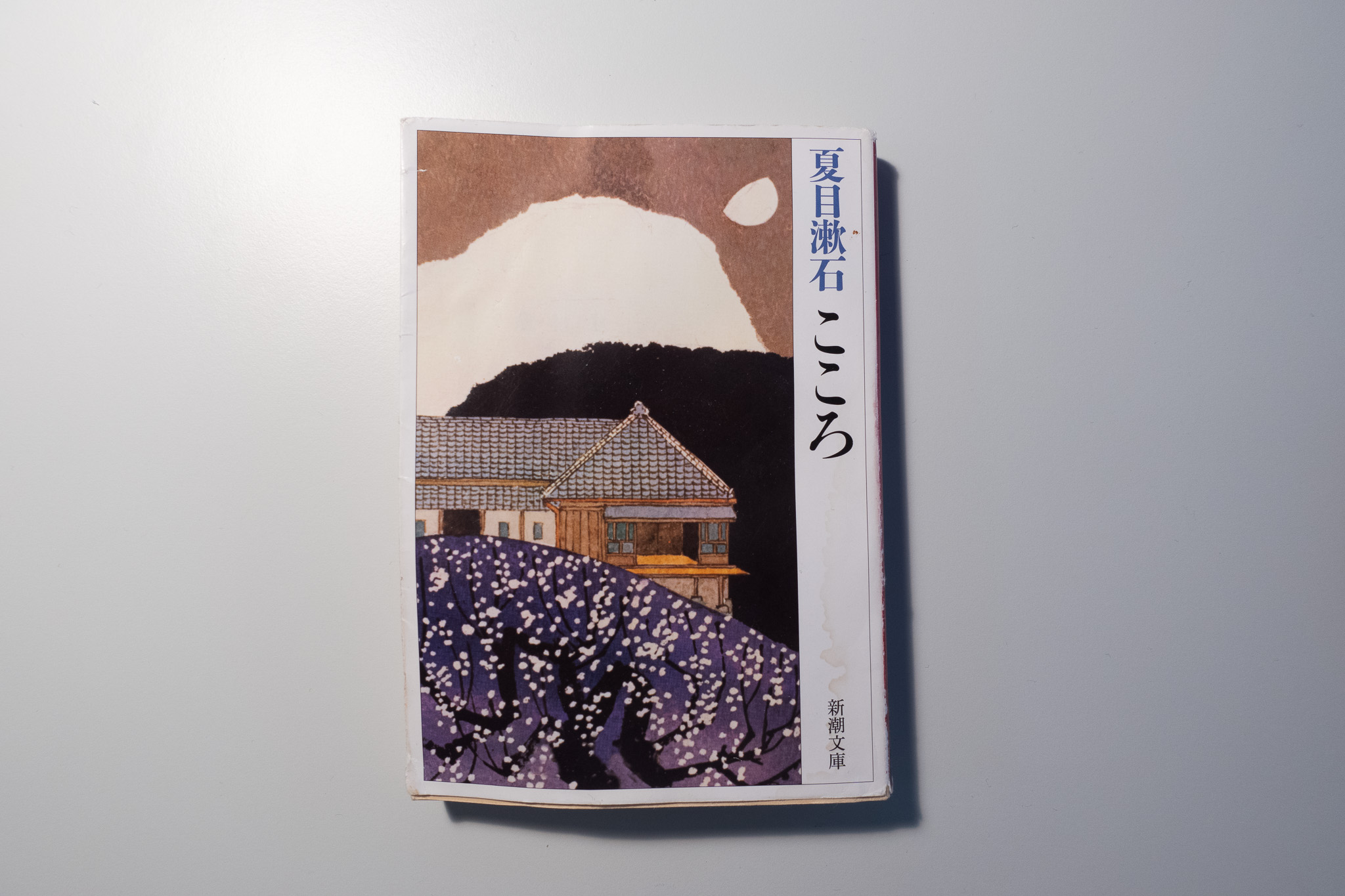 こころ(著:夏目漱石)を読んだって話。